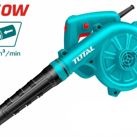 TOTAL-SOUFFLEUR 650W