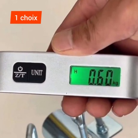 balance a main 50kg-gris-