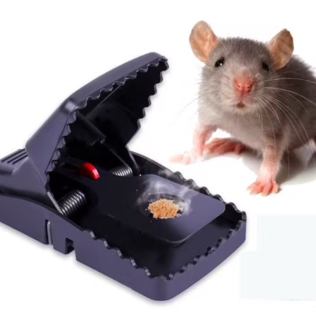 piège a rat en plastique